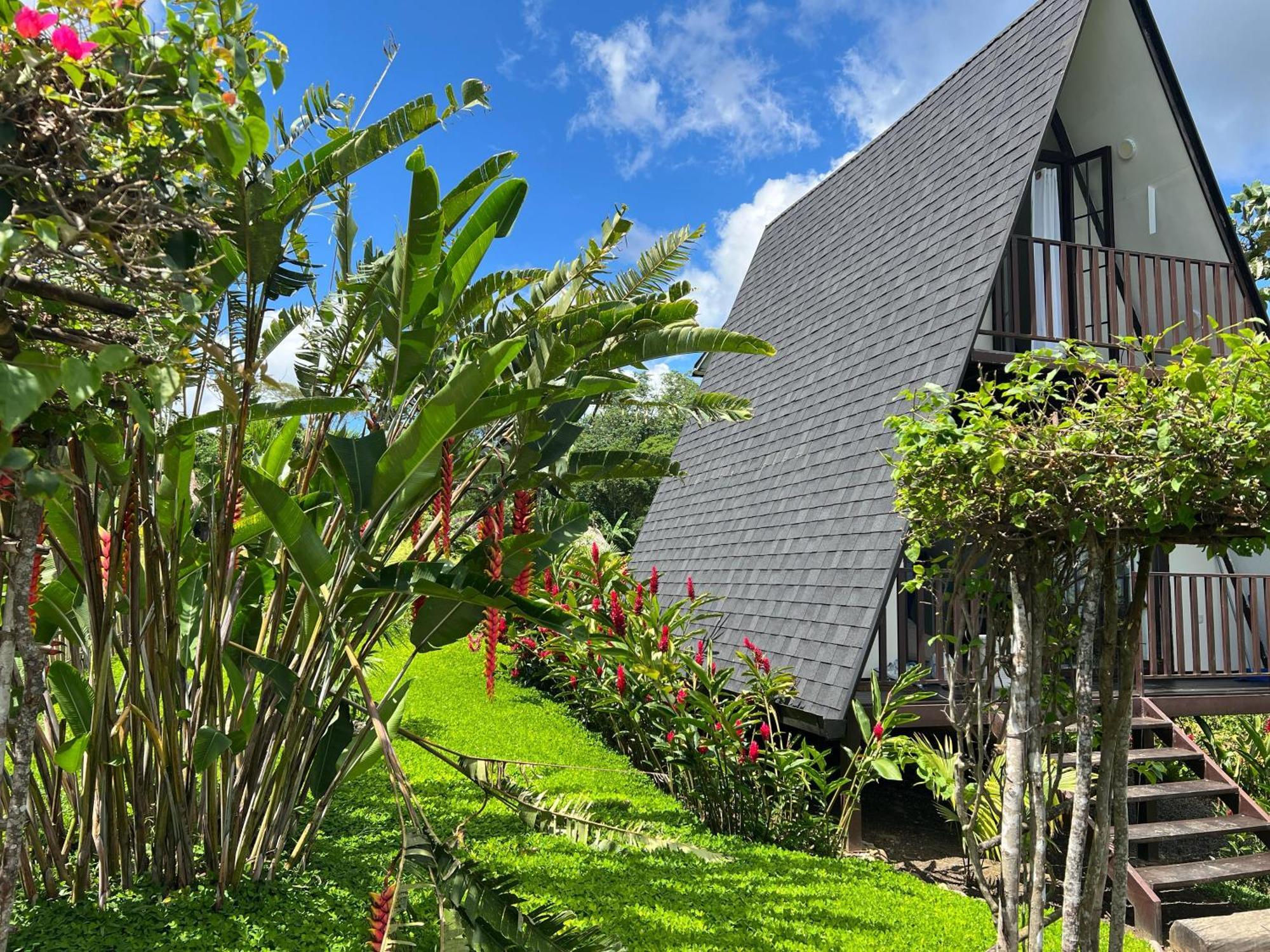 El Resort De Yanashpa - Tarapoto Chambre photo